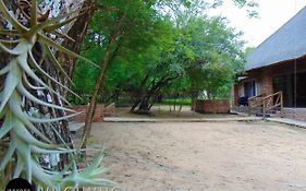 Vuguvugu - At Home In Africa